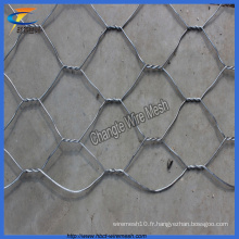 Prix ​​correct Best Quality Gabions Hexagonal Wire Mesh